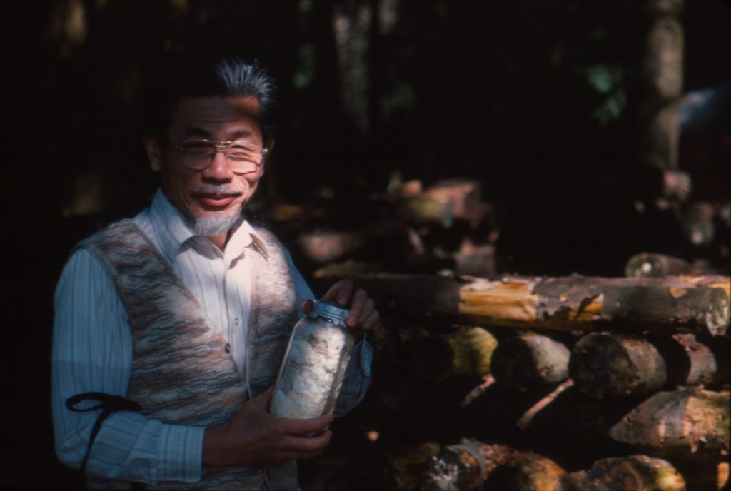 Dr. Theodore Takeuchi  Shiitake farm VMS tour 1983 (photo: Paul Kroeger)