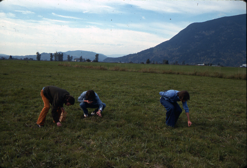 Picking Liberty Caps in Fraser Valley 1977  (photo: Stan Czolowski)