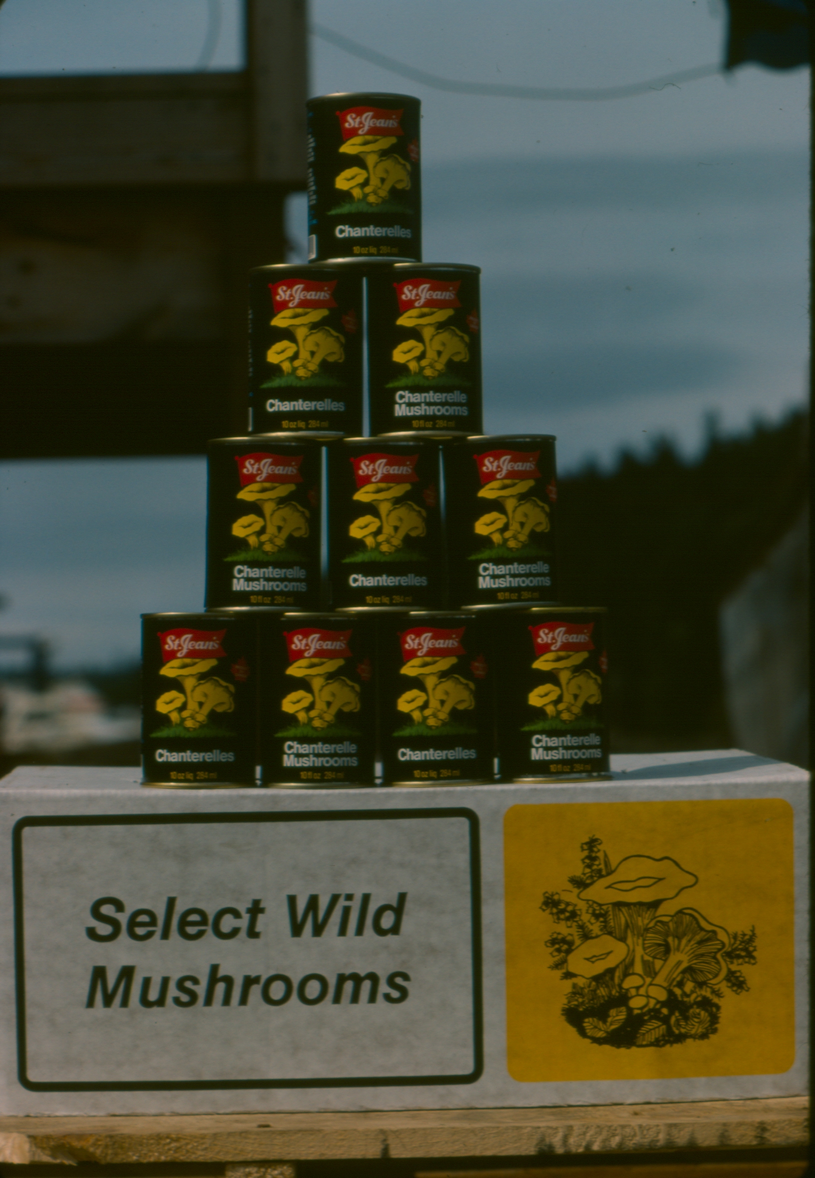 BC canned chanterelles for export to Germany. St. Jean’s cannery, Nanaimo 1985 (photo P. Kroeger)
